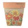 Sow N Sow | Marigolds Seeds - Earths Tribe